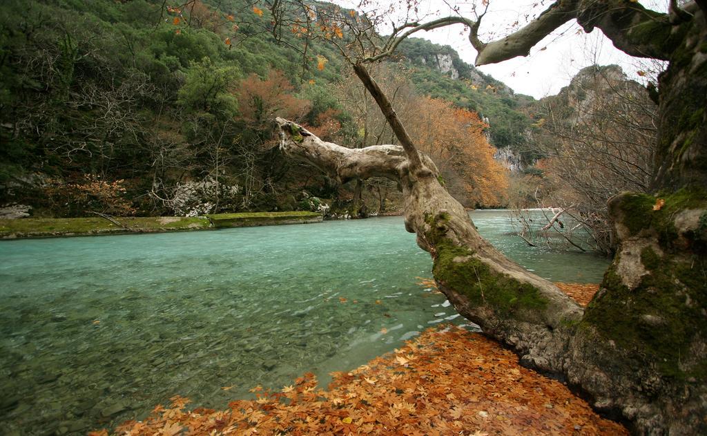 Archontiko Dilofo Otel Dış mekan fotoğraf